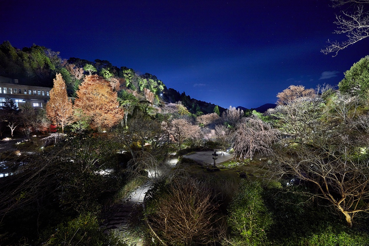 牧野植物園効果・管理照明