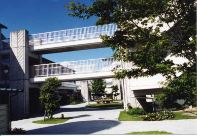 県営若草南団地　外観